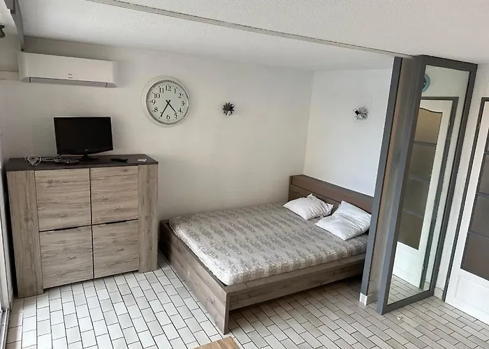 Appart:residence Avec Piscine * 阿格德